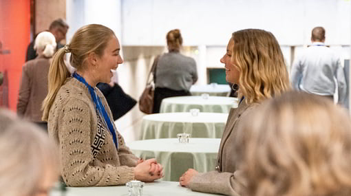 International Mentornetværk