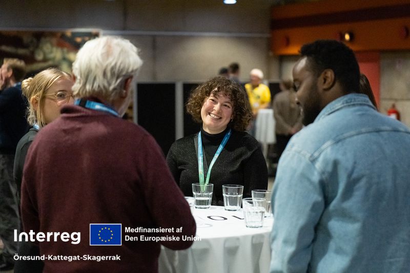 Det Internationale Mentornetværk